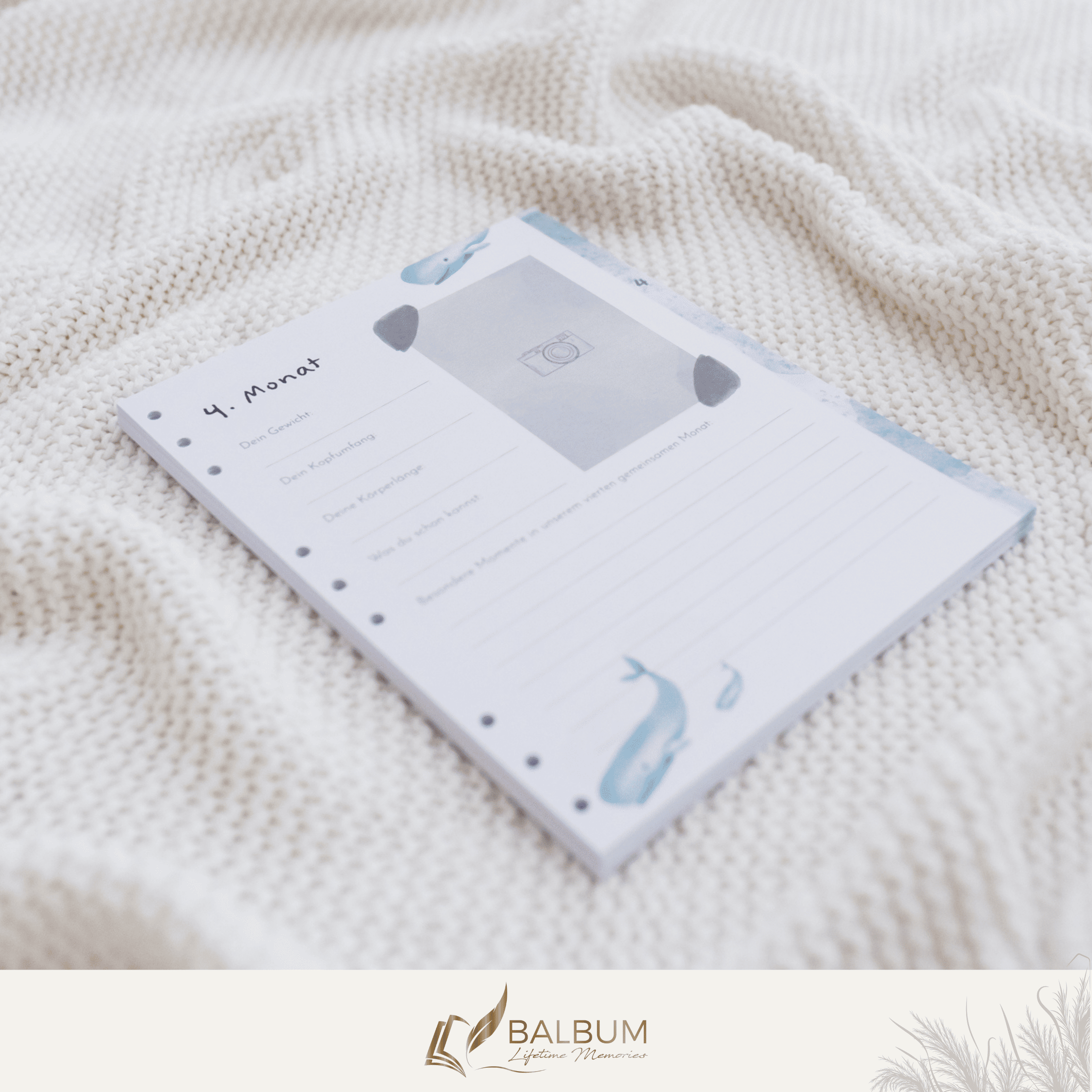 Dein erstes Jahr – Monat für Monat (Meer)