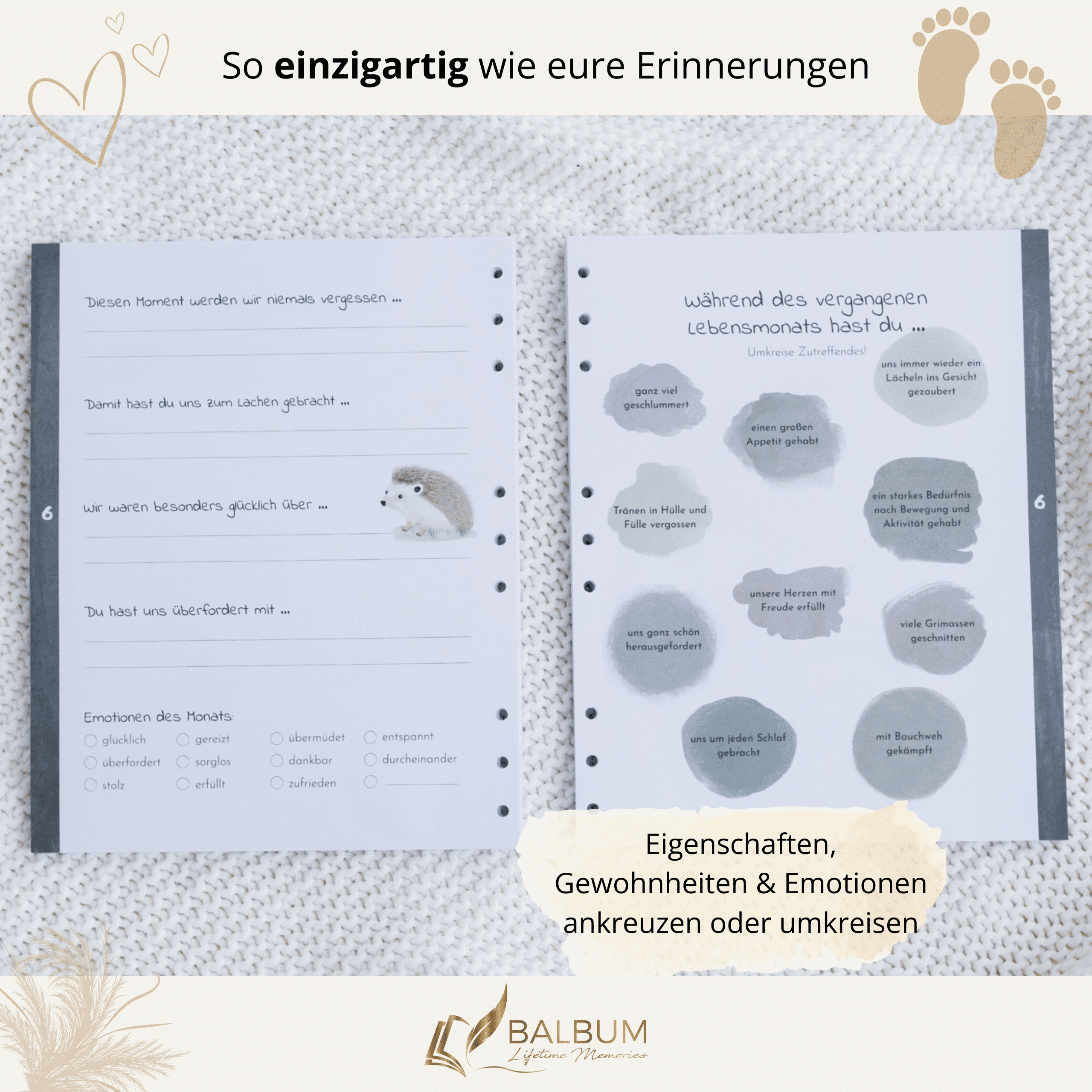Dein erstes Jahr – Monat für Monat (Wald)