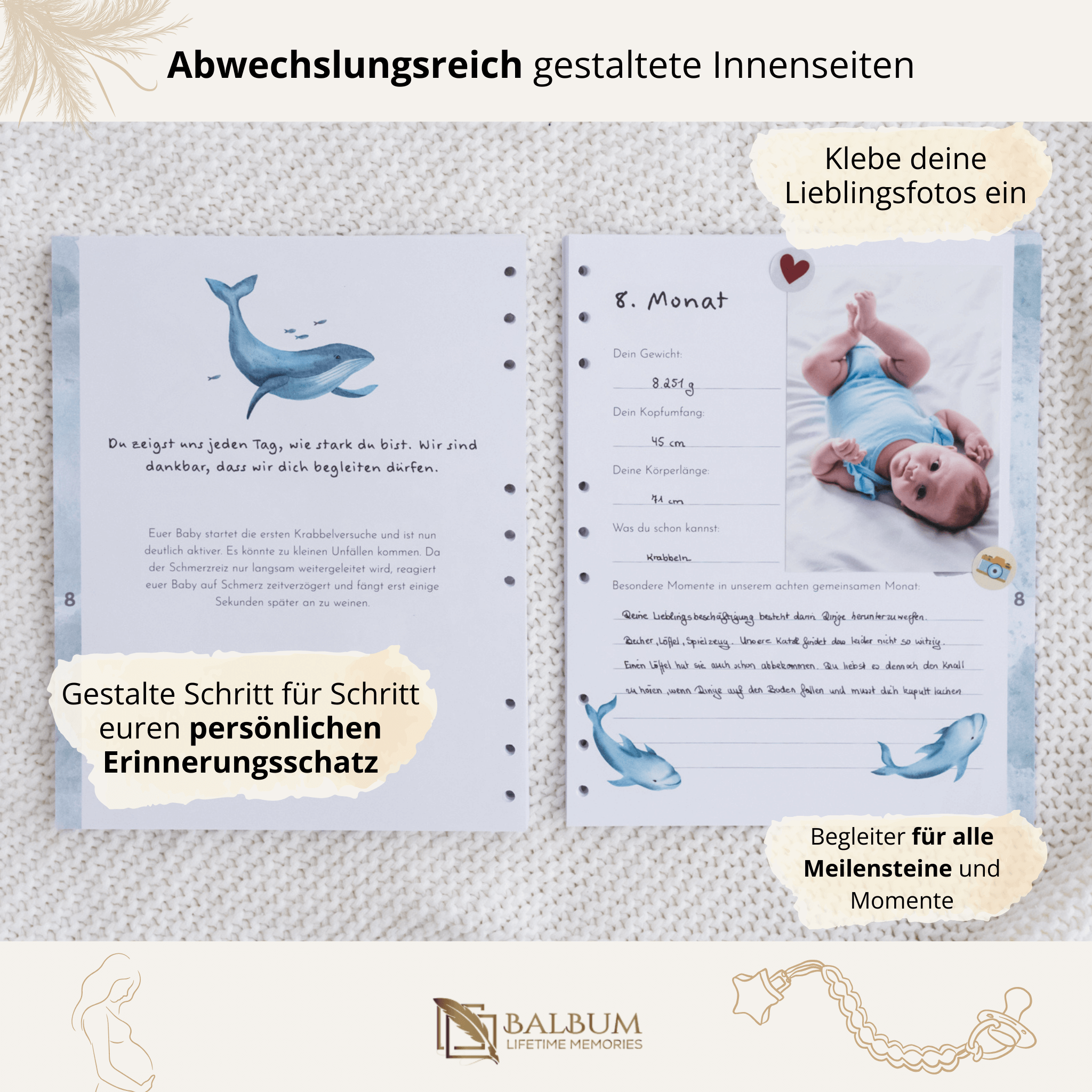 All-in-One Bundle Unterwasserwelten