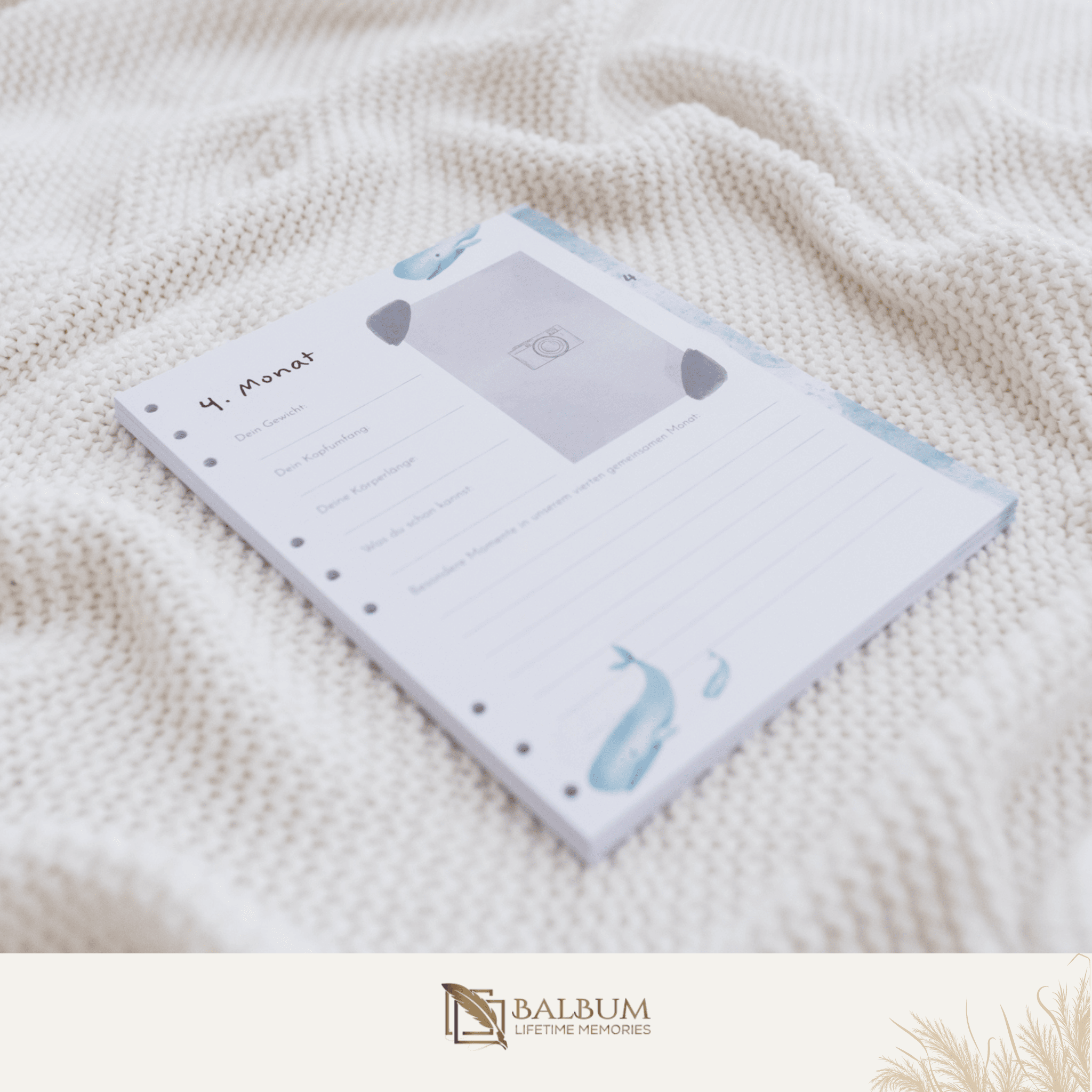 Basis: Unser erstes gemeinsames Jahr mit 156 Seiten (Meer)