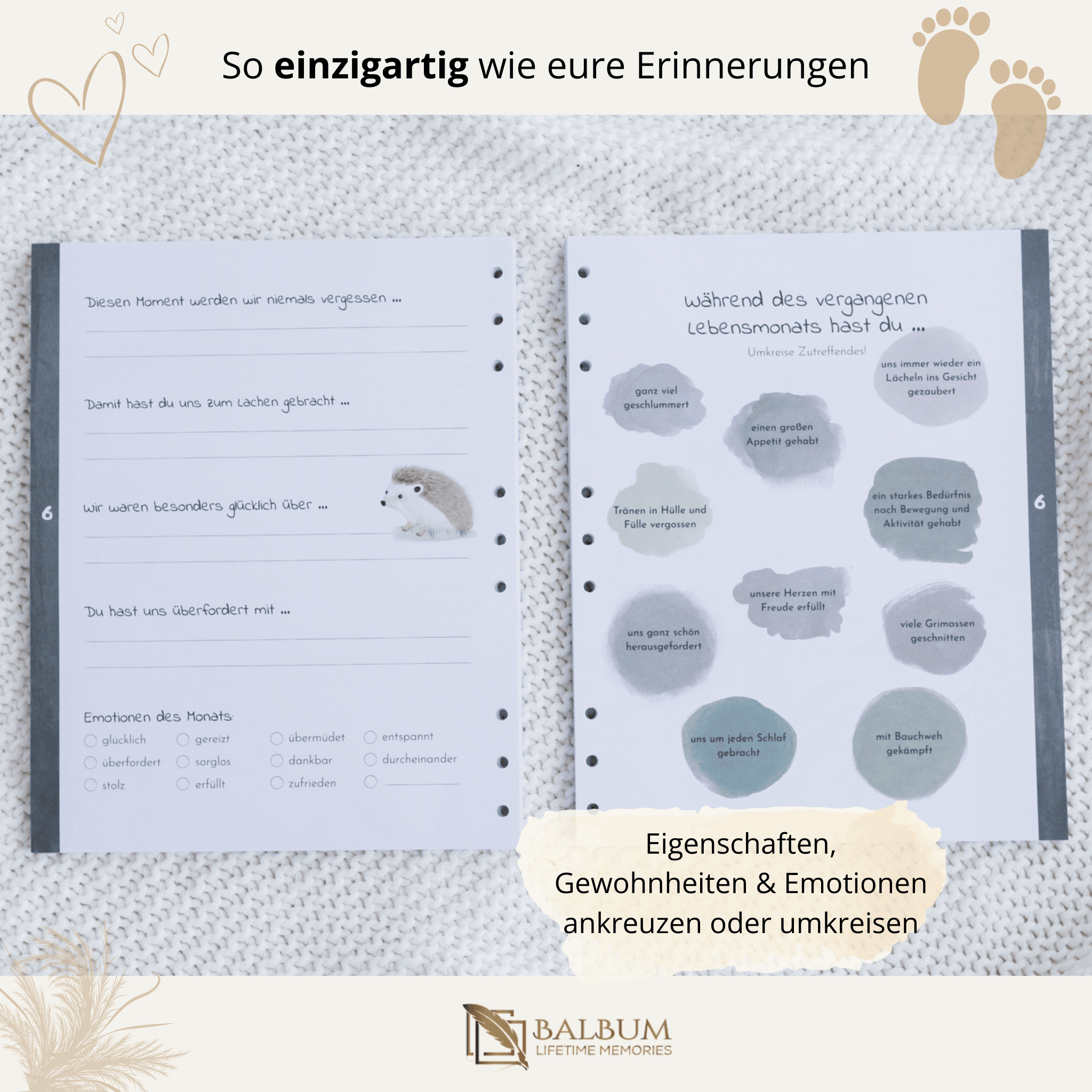 Basis: Unser erstes gemeinsames Jahr mit 156 Seiten (Wald)