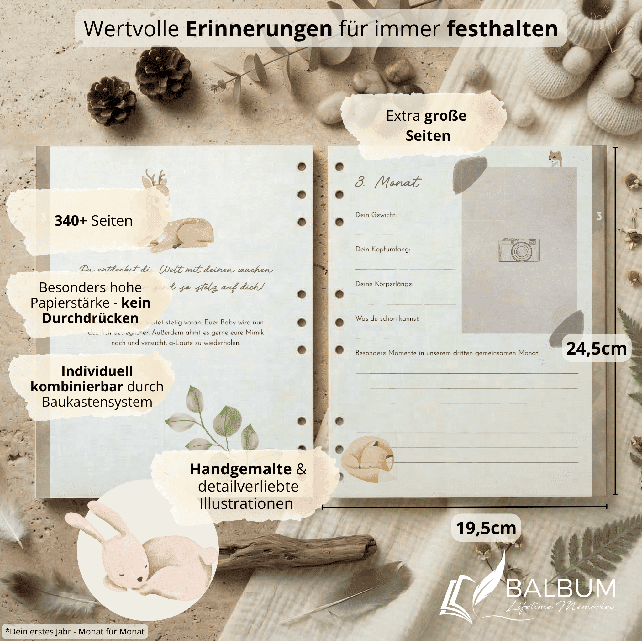 Babyalbum Bundle – Schwangerschaft & erstes Jahr – Natur | Einband Salbeigrün