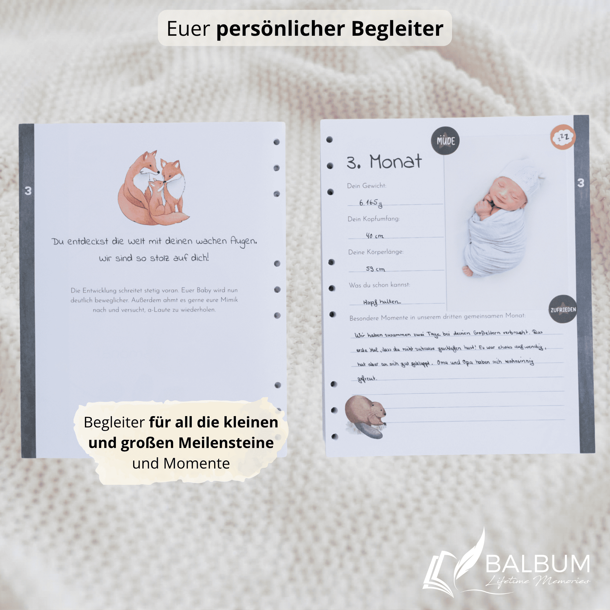 Babyalbum Bundle – Schwangerschaft & erstes Jahr – Natur | Einband Beige